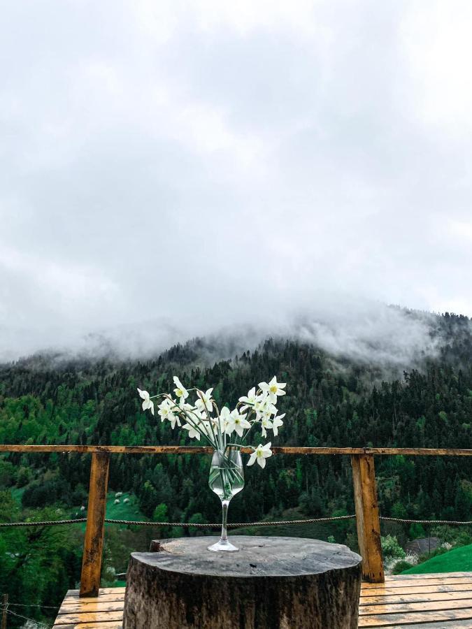 Mitarbi Silence - Cozy Holiday Cottages In Mountains Bordżomi Zewnętrze zdjęcie