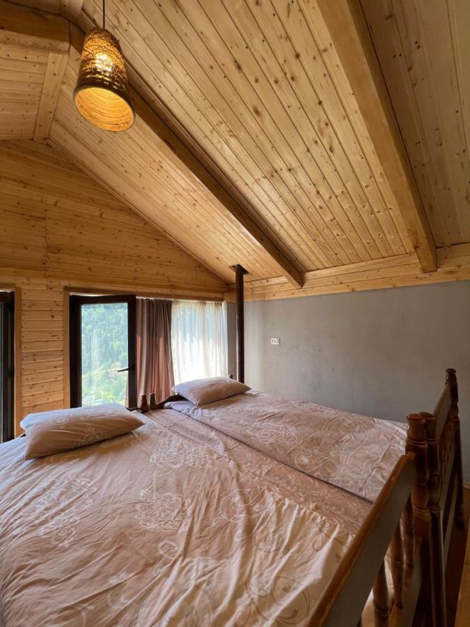 Mitarbi Silence - Cozy Holiday Cottages In Mountains Bordżomi Zewnętrze zdjęcie