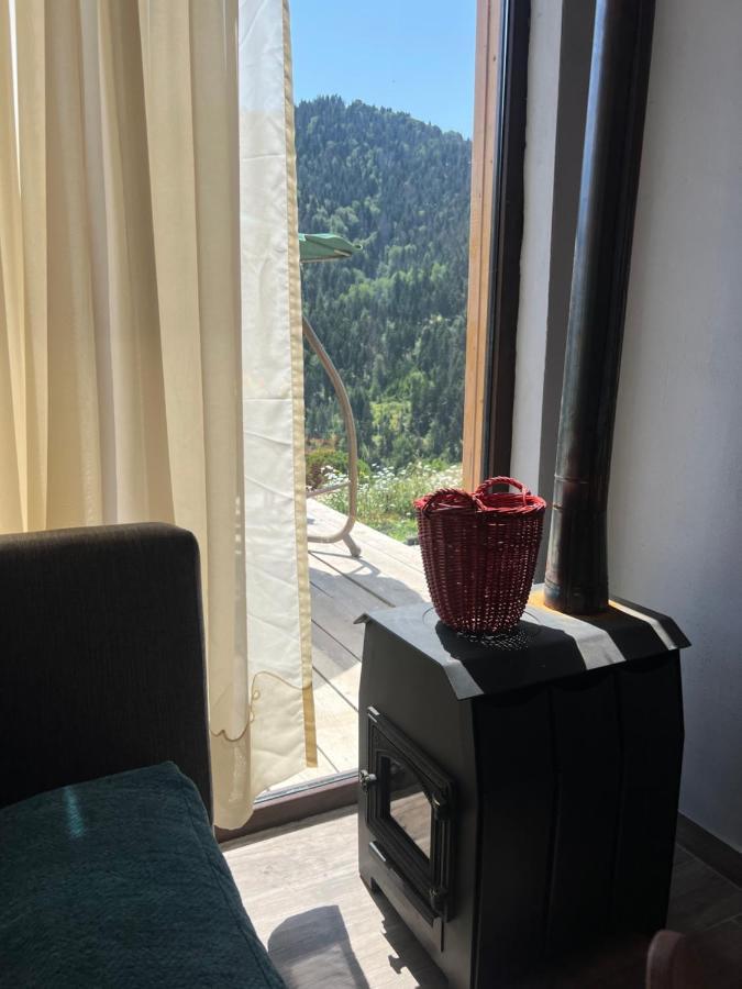 Mitarbi Silence - Cozy Holiday Cottages In Mountains Bordżomi Zewnętrze zdjęcie