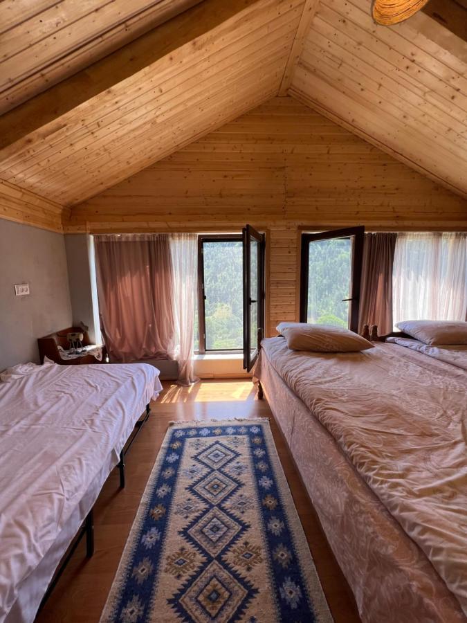 Mitarbi Silence - Cozy Holiday Cottages In Mountains Bordżomi Zewnętrze zdjęcie
