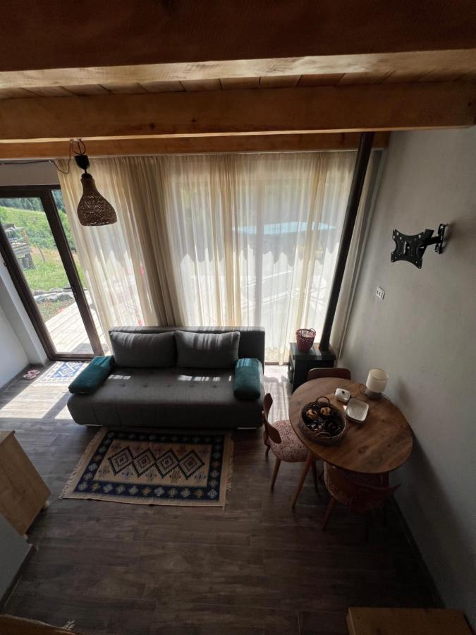 Mitarbi Silence - Cozy Holiday Cottages In Mountains Bordżomi Zewnętrze zdjęcie