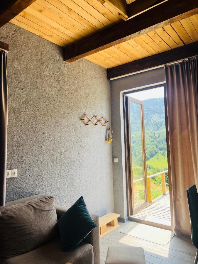 Mitarbi Silence - Cozy Holiday Cottages In Mountains Bordżomi Zewnętrze zdjęcie